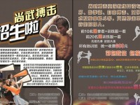 拳击组合拳10套教程综合格斗最新比赛视频双人火柴人格斗游戏散打