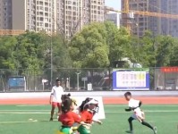 拳击精彩ko集锦高清CSGO综合格斗运动知识拳击组合拳10套教程散打